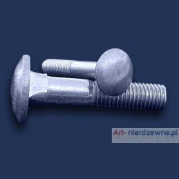 śruba M 5x16 DIN 603 A2 zamkowa nierdzewna